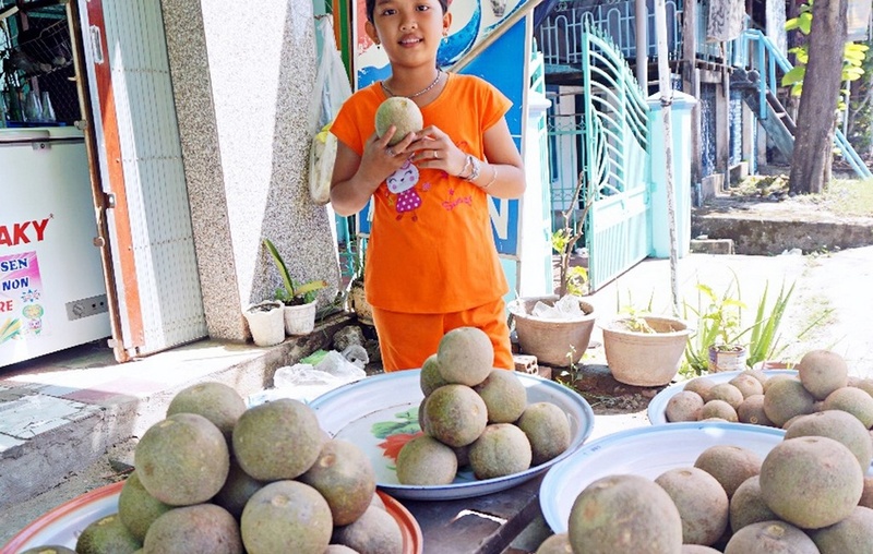 Trái quách Trà Vinh - Đặc sản miền Tây với hương vị khó quên