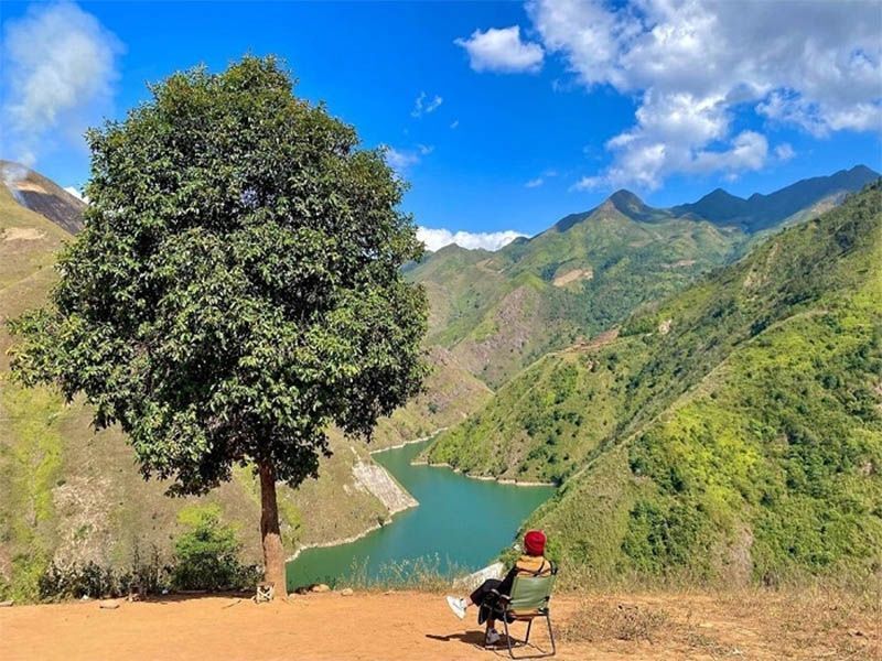 Cây cô đơn Tà Xùa: Khám phá “ngọn hải đăng” giữa biển mây