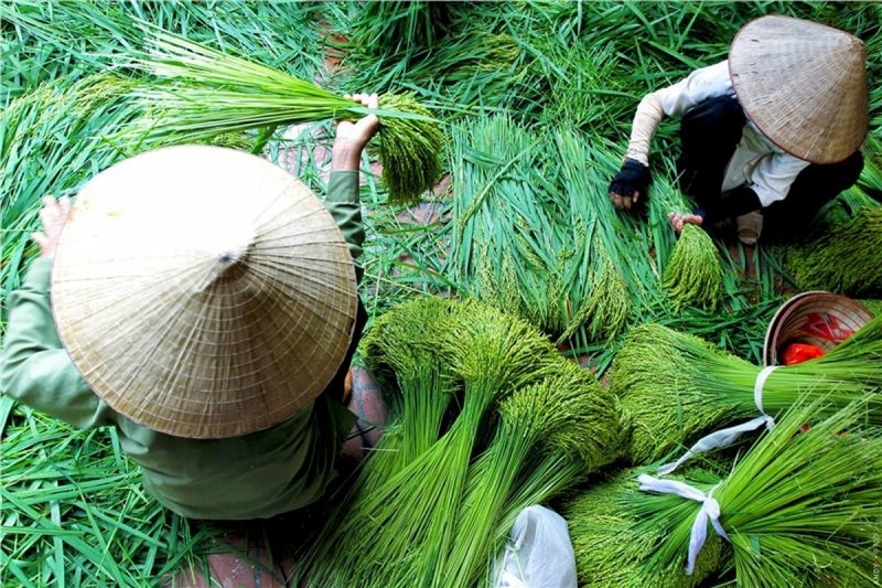 Chợ chiếu Định Yên - Niềm tự hào của làng nghề truyền thống 