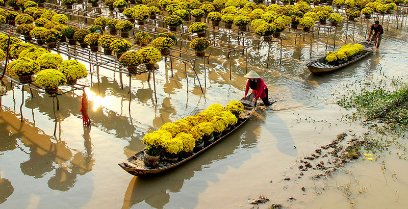 Du lịch Sa Đéc Đồng Tháp: TOP NHỮNG ĐỊA ĐIỂM HẤP DẪN 