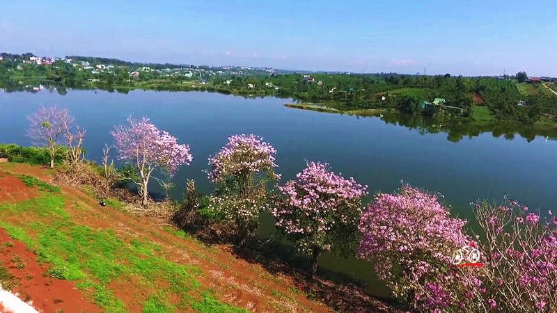 Hồ Nam Phương: Viên ngọc xanh giữa lòng thành phố Bảo Lộc