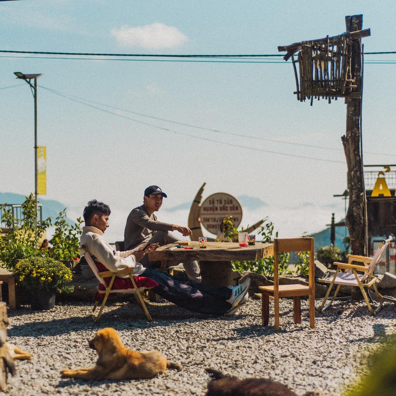 TOP 12 quán cafe Tà Xùa view triệu đô, săn mây quên lối về