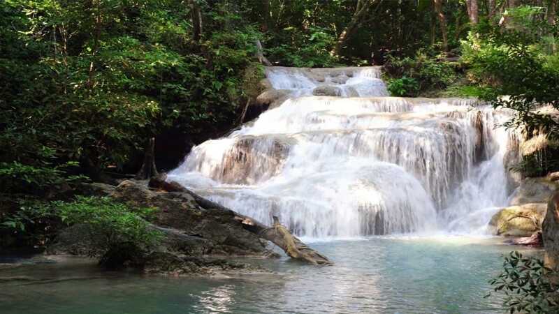 Vườn quốc gia Phước Bình - Vẻ đẹp hoang sơ của rừng nguyên sinh 