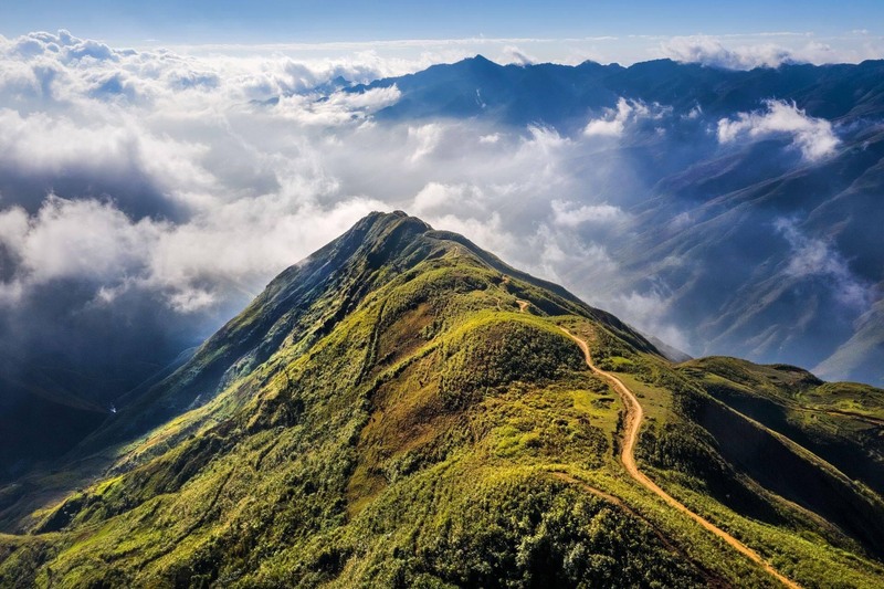 Sống Lưng Khủng Long: Hành Trình Khám Phá Thiên Nhiên Hùng Vĩ