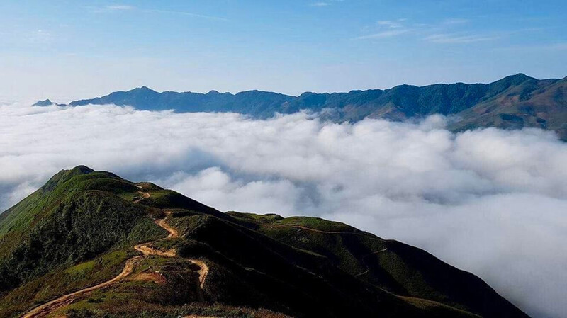 Sống Lưng Khủng Long Tà Xùa: Hành Trình Khám Phá Thiên Nhiên Hùng Vĩ