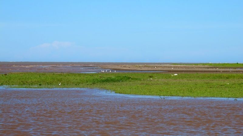 Bãi biển Kim Sơn Ninh Bình - Điểm đến hoang sơ đầy quyến rũ