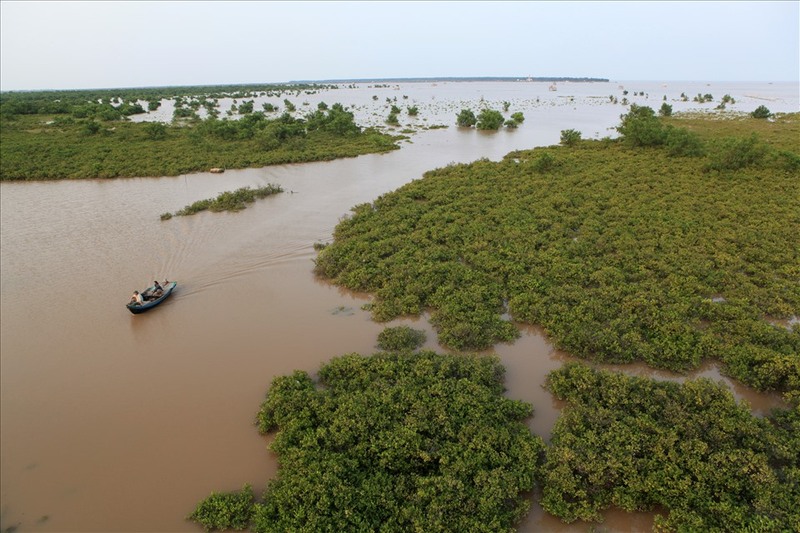 Bãi biển Kim Sơn Ninh Bình - Điểm đến hoang sơ đầy quyến rũ