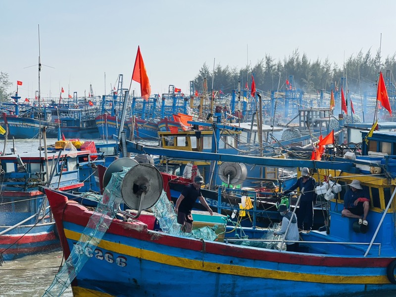 Trải nghiệm cuộc sống ngư dân tại cảng cá Bình Châu