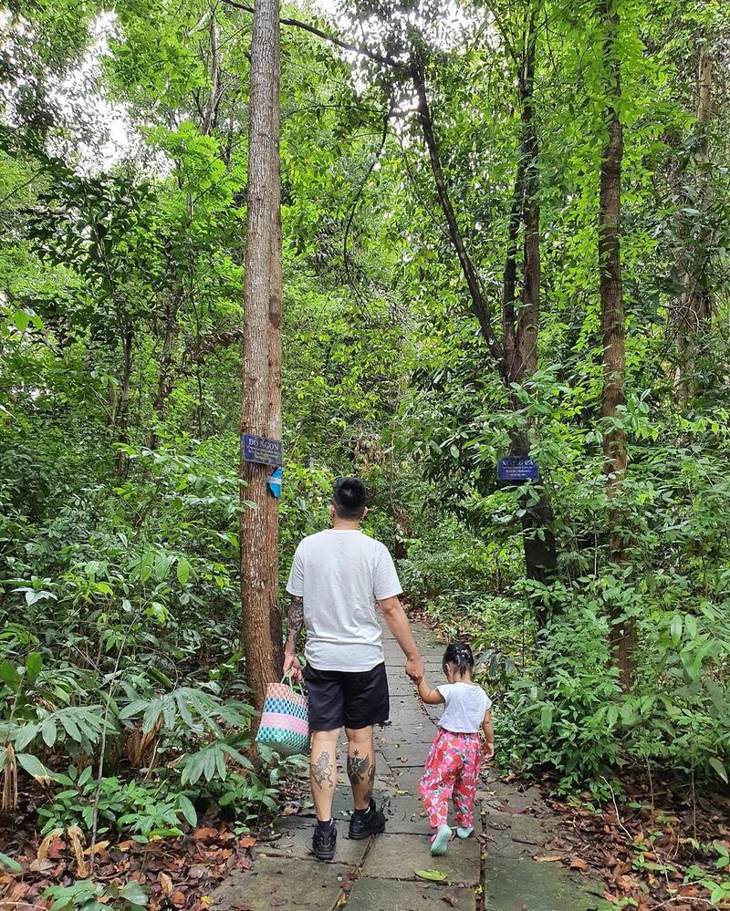 Khu bảo tồn thiên nhiên Bình Châu: Khám phá hệ sinh thái rừng ngập mặn