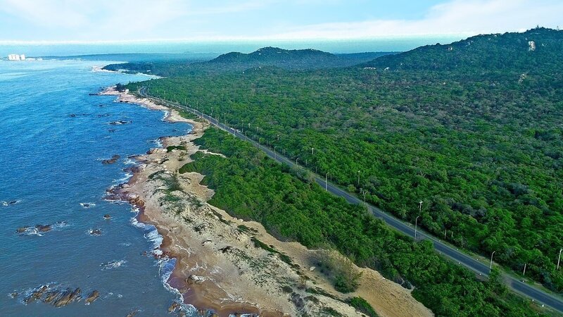 Khu bảo tồn thiên nhiên Bình Châu: Khám phá hệ sinh thái rừng ngập mặn