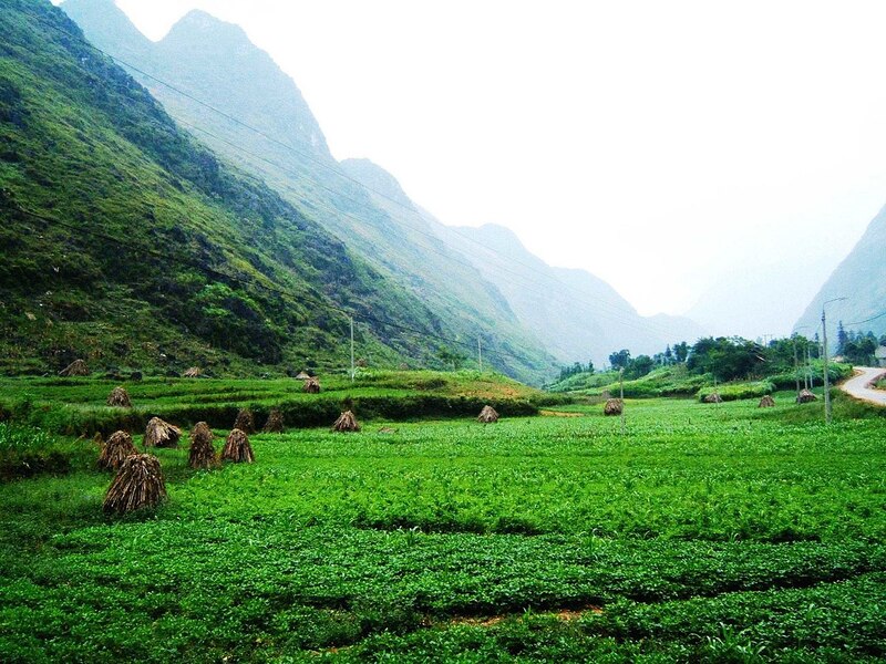 Pả Vi Thượng - Cung đường khám phá tuyệt đẹp ở Hà Giang 