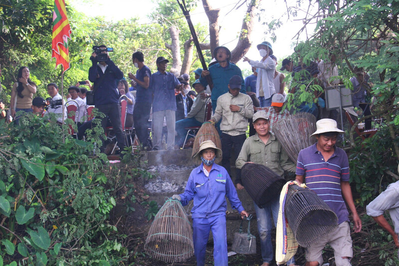 Khám phá Trằm Trà Lộc - Khu sinh thái giữa lòng Quảng Trị