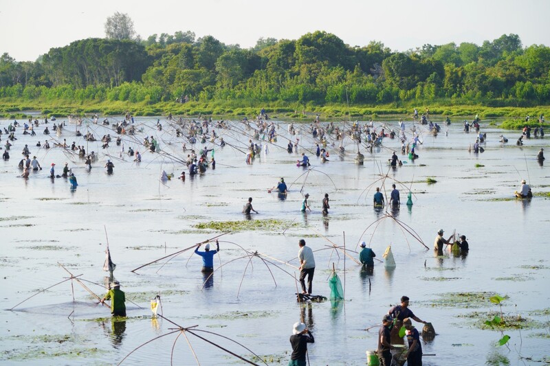 Khám phá Trằm Trà Lộc - Khu sinh thái giữa lòng Quảng Trị