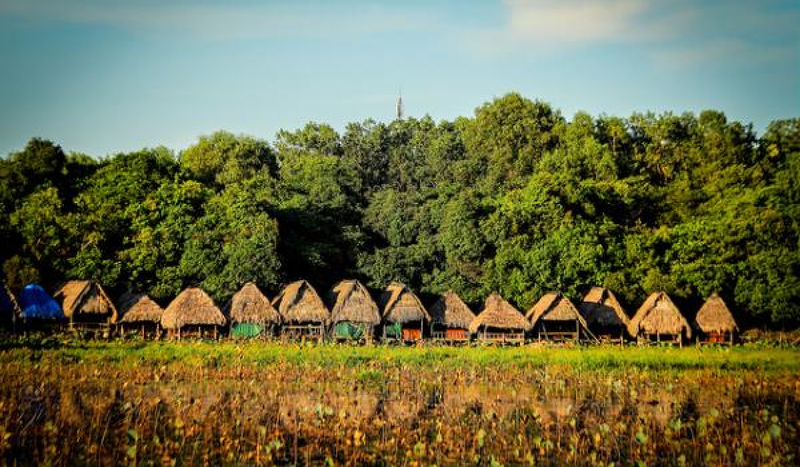 Khám phá Trằm Trà Lộc - Khu sinh thái giữa lòng Quảng Trị