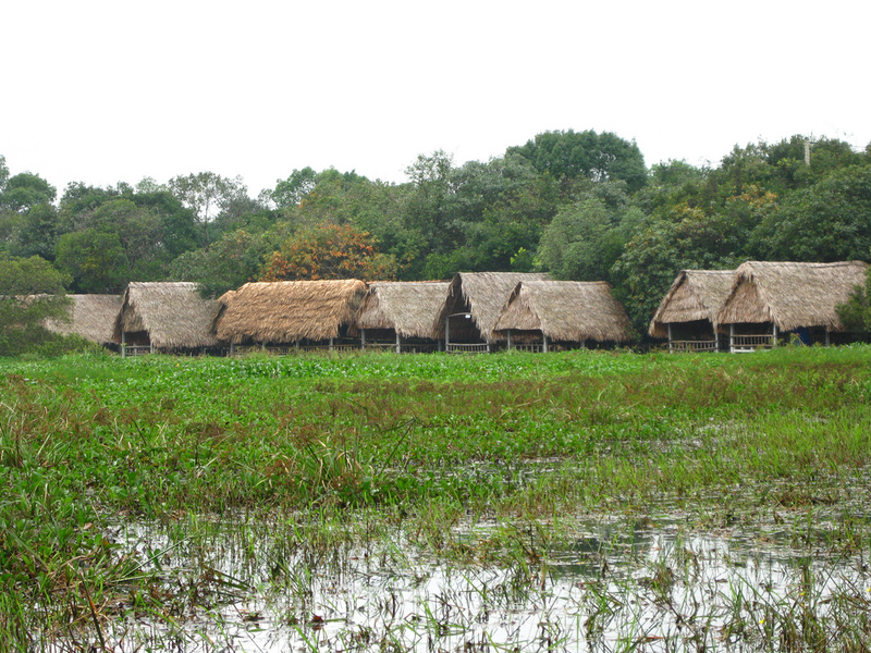 Khám phá Trằm Trà Lộc - Khu sinh thái giữa lòng Quảng Trị