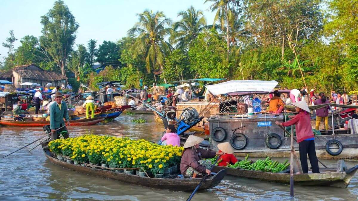 Đầm Thị Tường - Thưởng thức cảnh đẹp và muôn vàn hải sản ngon ở Cà Mau 26 Đầm Thị Tường Cà Mau