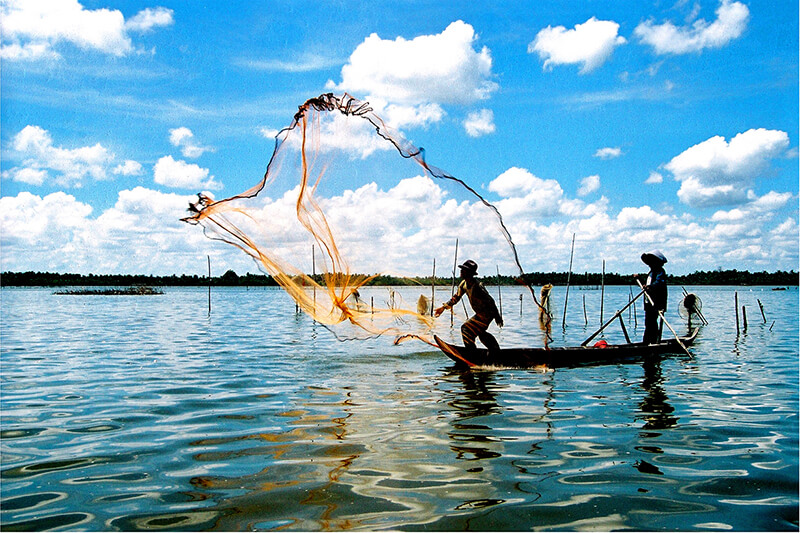 Đầm Thị Tường - Thưởng thức cảnh đẹp và muôn vàn hải sản ngon ở Cà Mau 15 Đầm Thị Tường Cà Mau