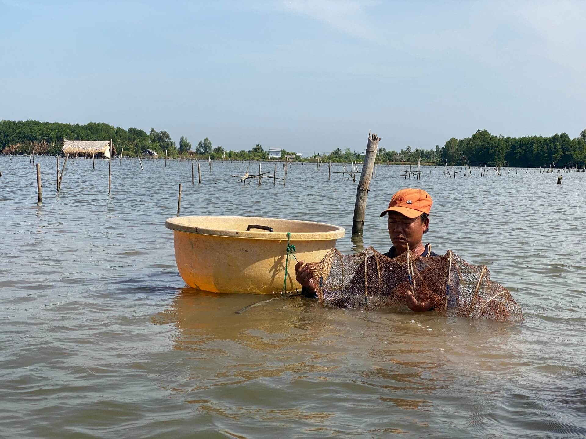 Đầm Thị Tường - Thưởng thức cảnh đẹp và muôn vàn hải sản ngon ở Cà Mau 18 Đầm Thị Tường Cà Mau