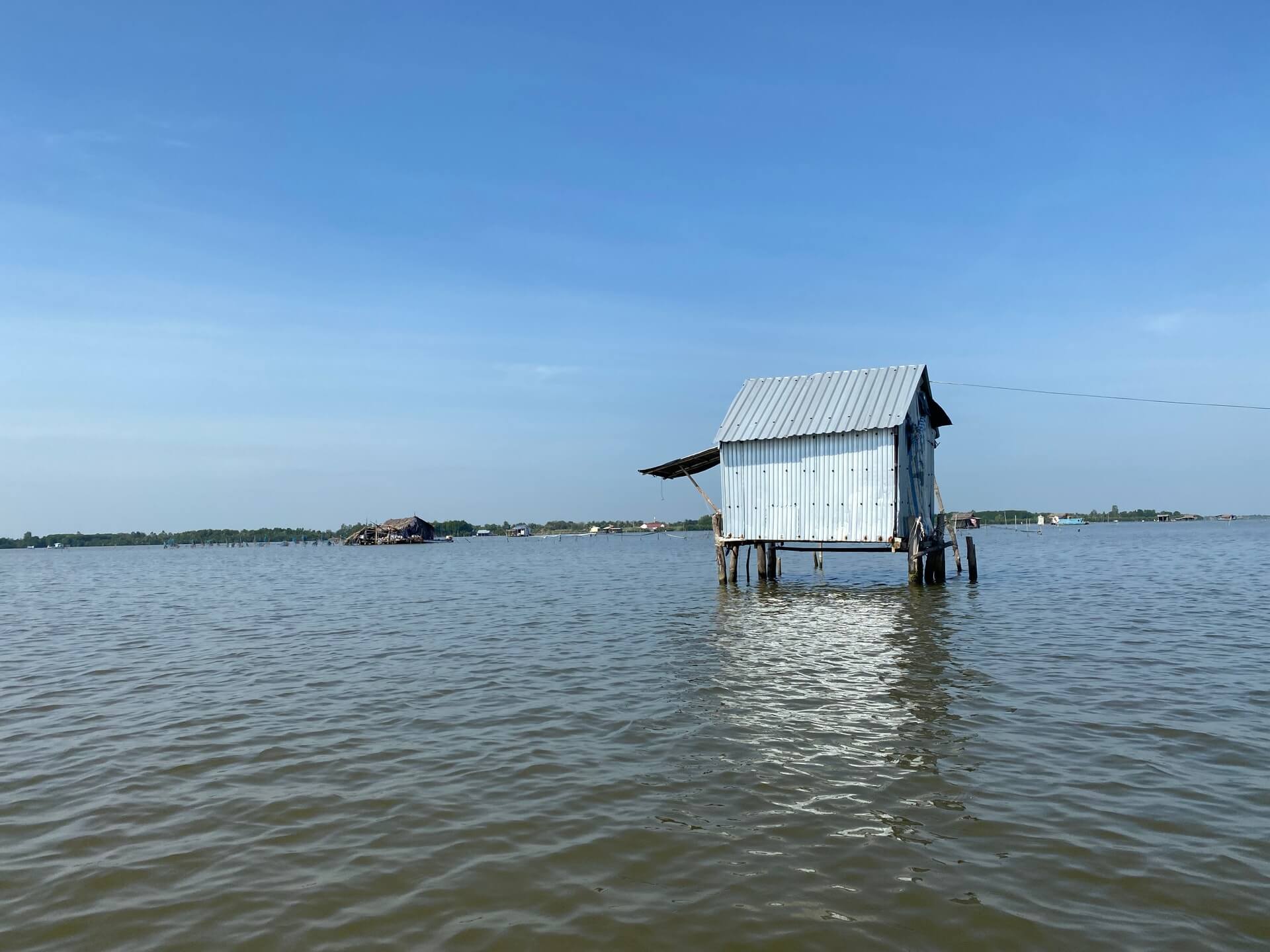Đầm Thị Tường - Thưởng thức cảnh đẹp và muôn vàn hải sản ngon ở Cà Mau 20 Đầm Thị Tường Cà Mau