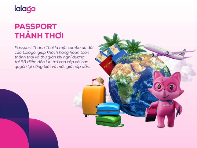 Báo chí nói về Tico Travel - Ảnh 4