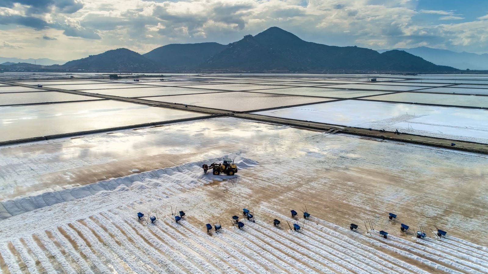 Vẻ đẹp độc đáo của cánh đồng khi nhìn từ trên cao