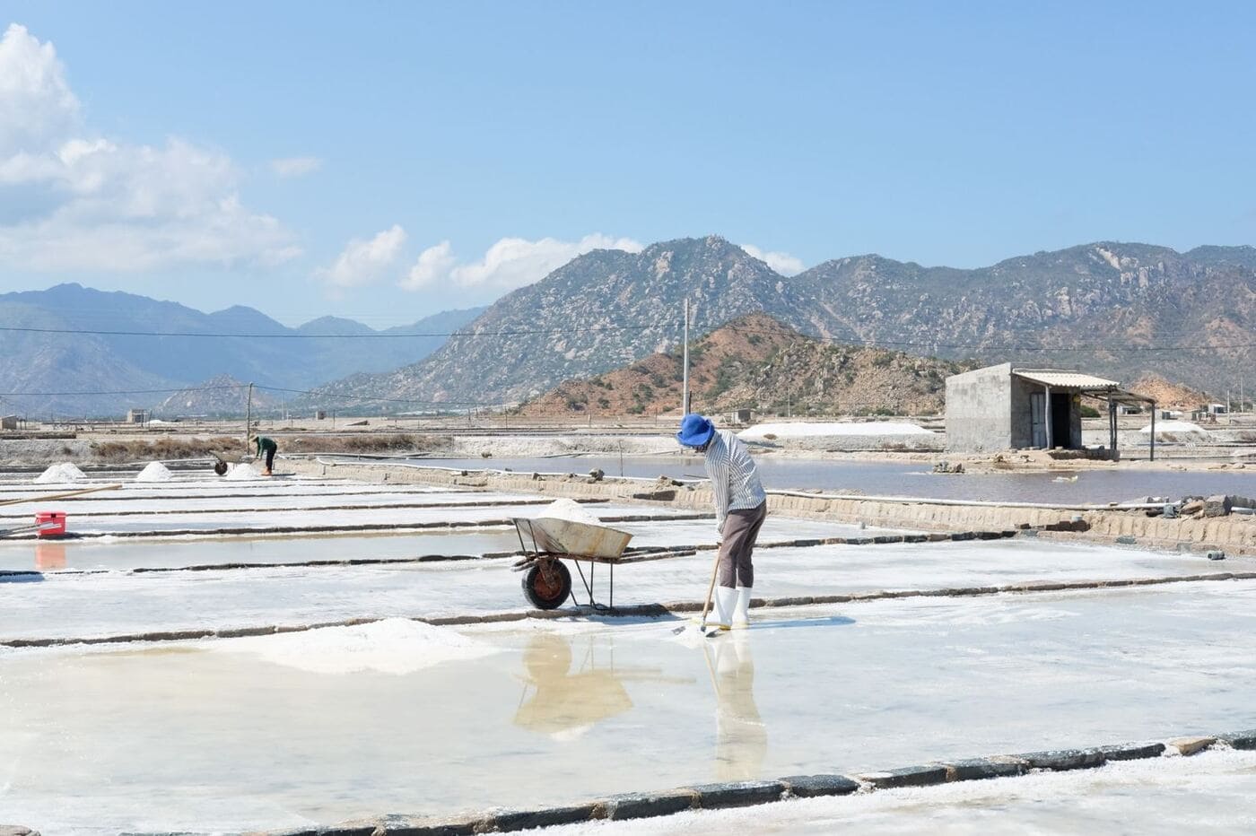 Diêm dân đang thu hoạch muối