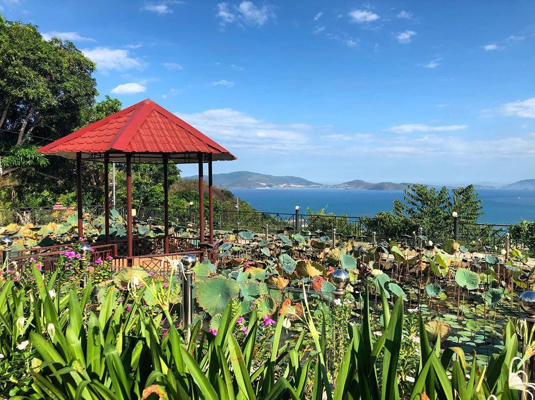 Khuôn viên chùa mùa sen nở