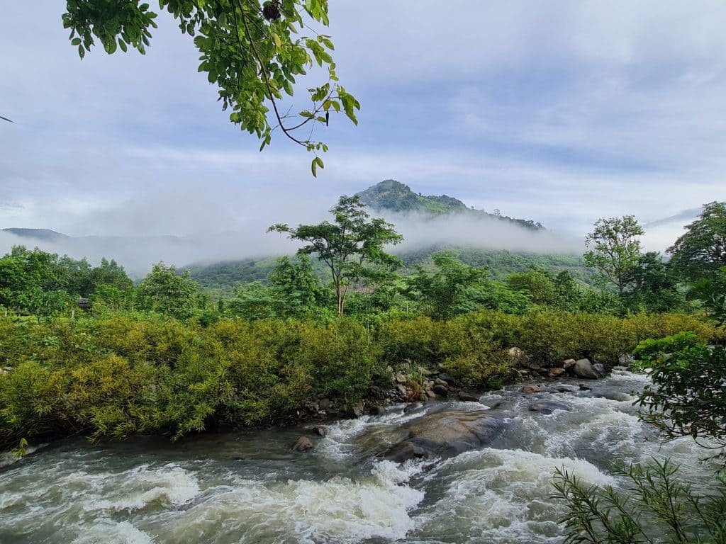 Dòng thác cuộn chảy giữa rừng Phước Bình