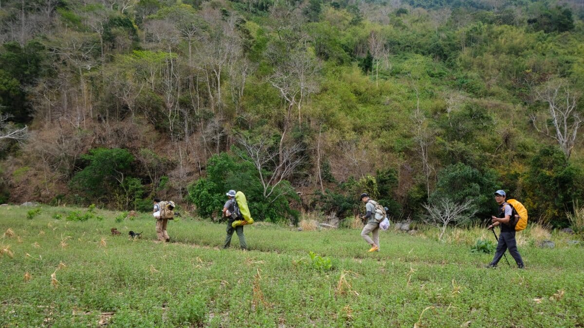 Đoàn trekking khám phá khu rừng 