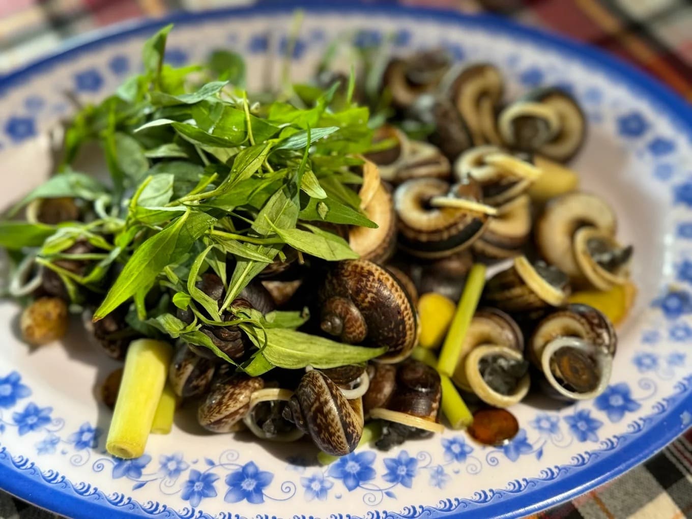 Ốc đá hấp sả là món ăn must try khi đến Phước Bình