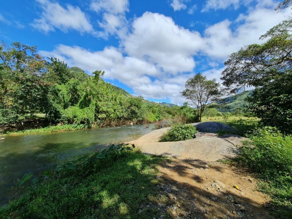 Không gian xanh mát, tràn đầy sức sống của rừng